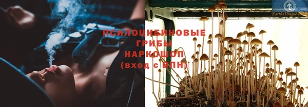 мдпв Апатиты