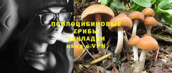 синтетический гашиш Анива