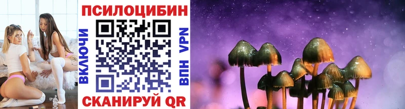 Псилоцибиновые грибы GOLDEN TEACHER  наркота  Таштагол 